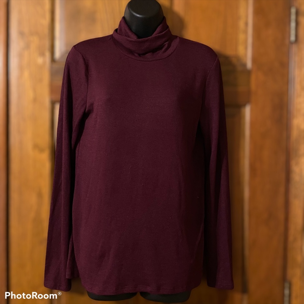 Banana Republic Signature Turtleneck Sweater